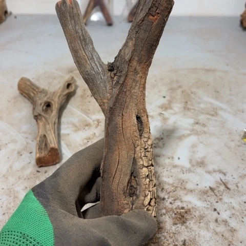 大果紫檀（缅甸花梨）捌*