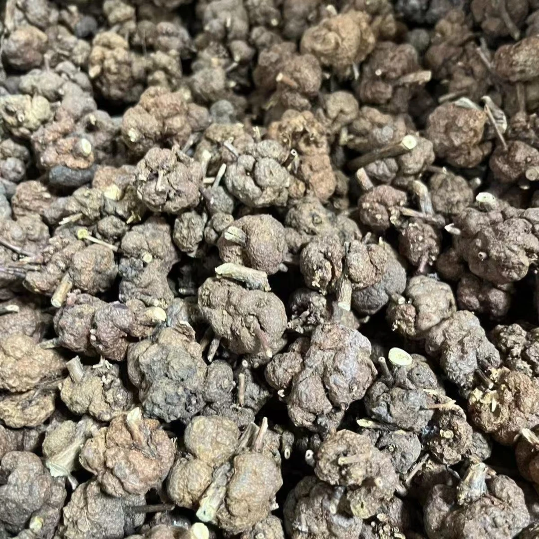 【云野山货】小猫草