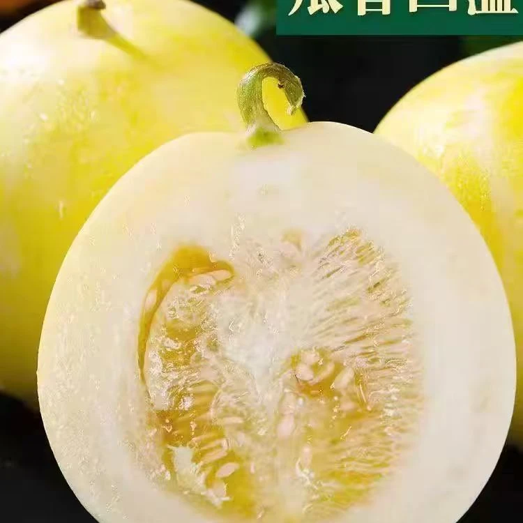 冰糖脆甜瓜小蜜罐带箱5斤