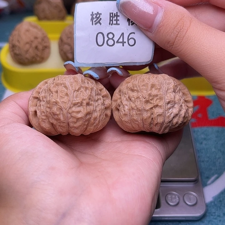 文玩核桃把件南瓜墩42.0846