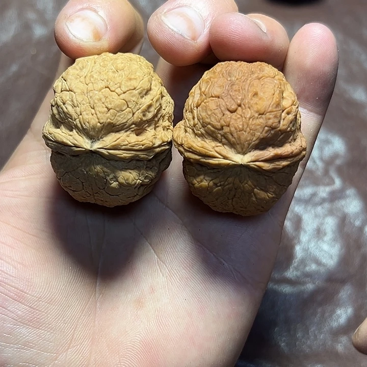 文玩核桃把件31号大粗筋