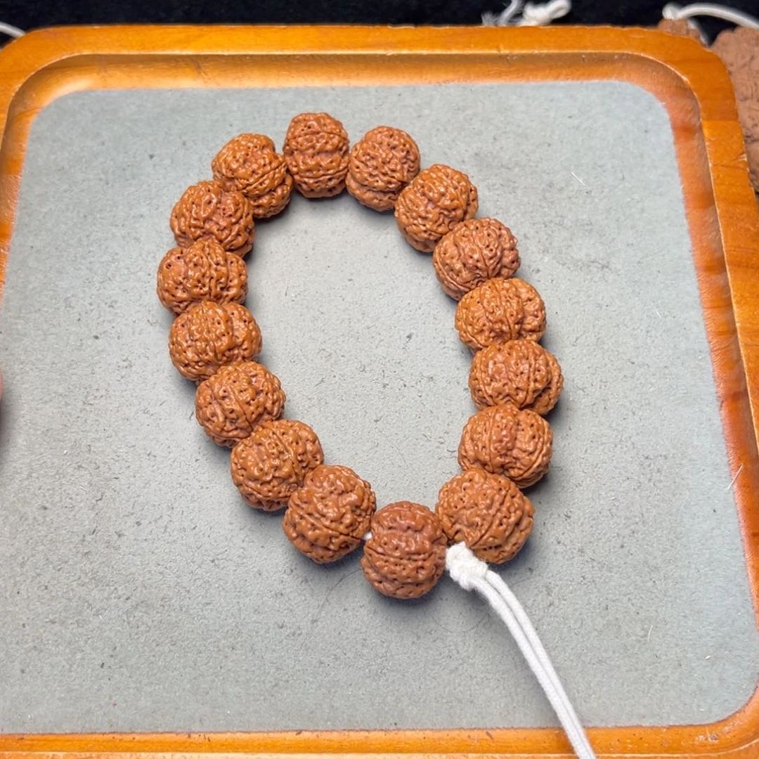 菩提20号金刚菩提梅花21