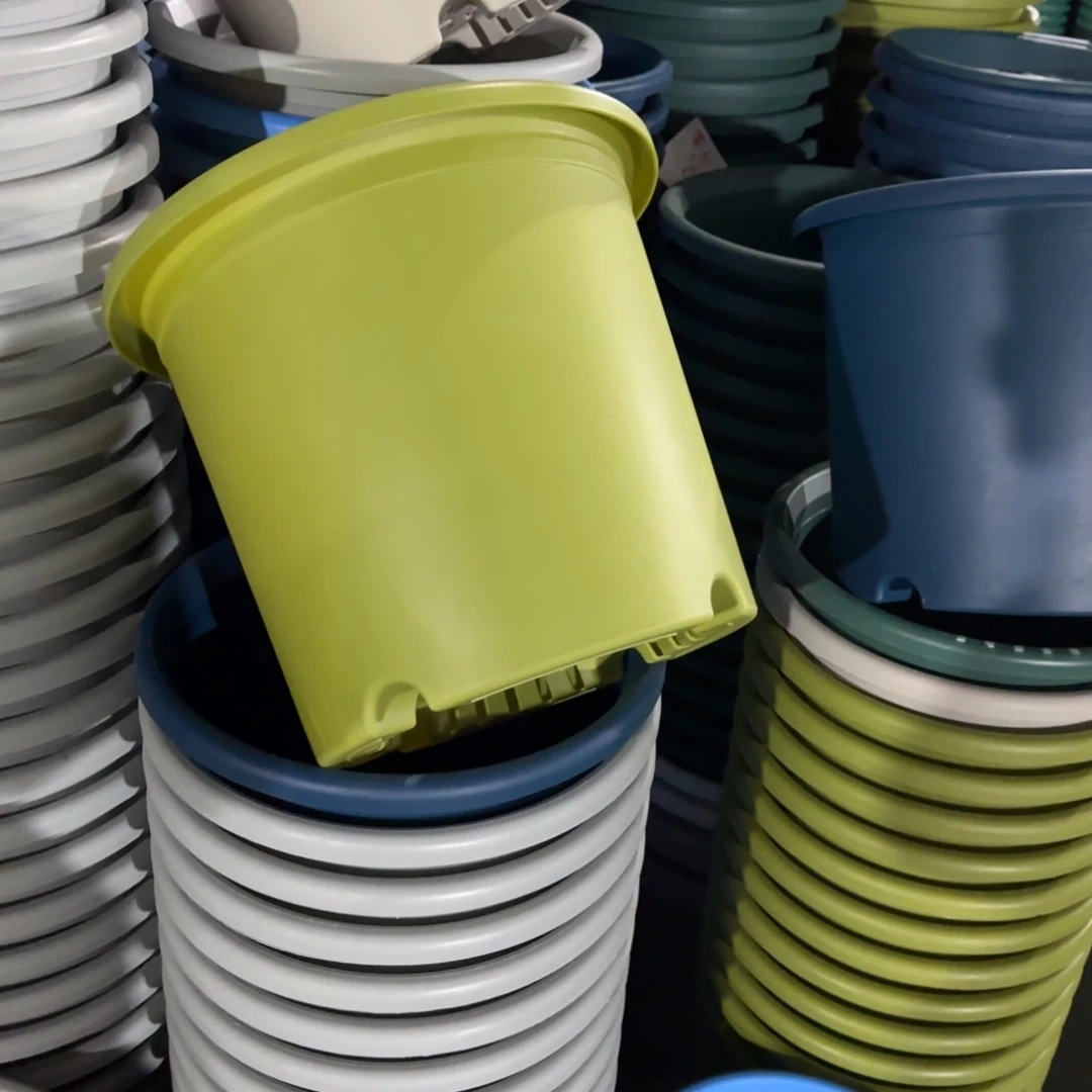 树脂特价6#无拖果绿7个