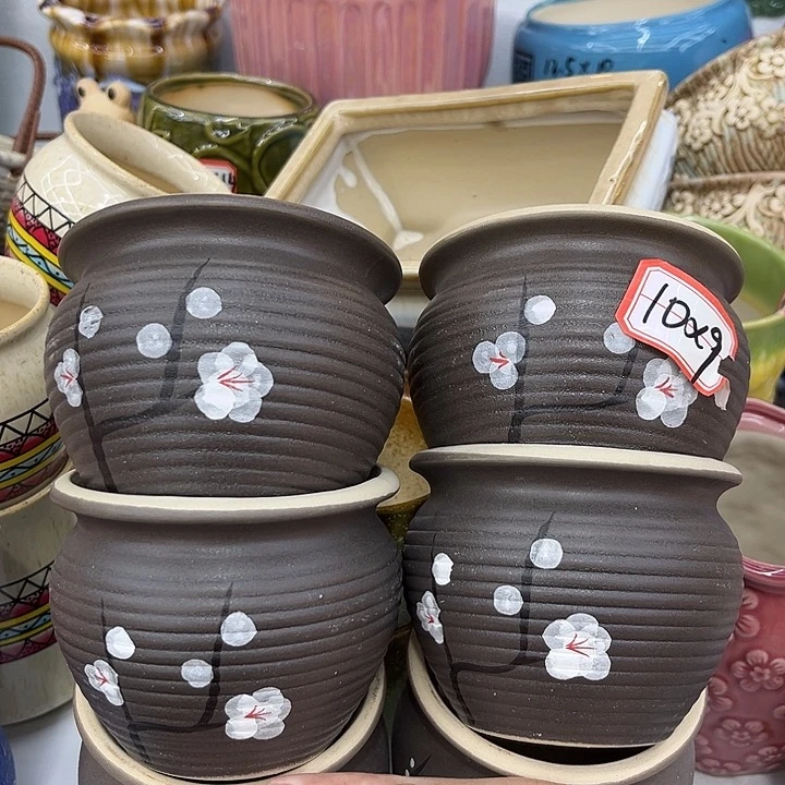 多肉植物陶瓷花盆