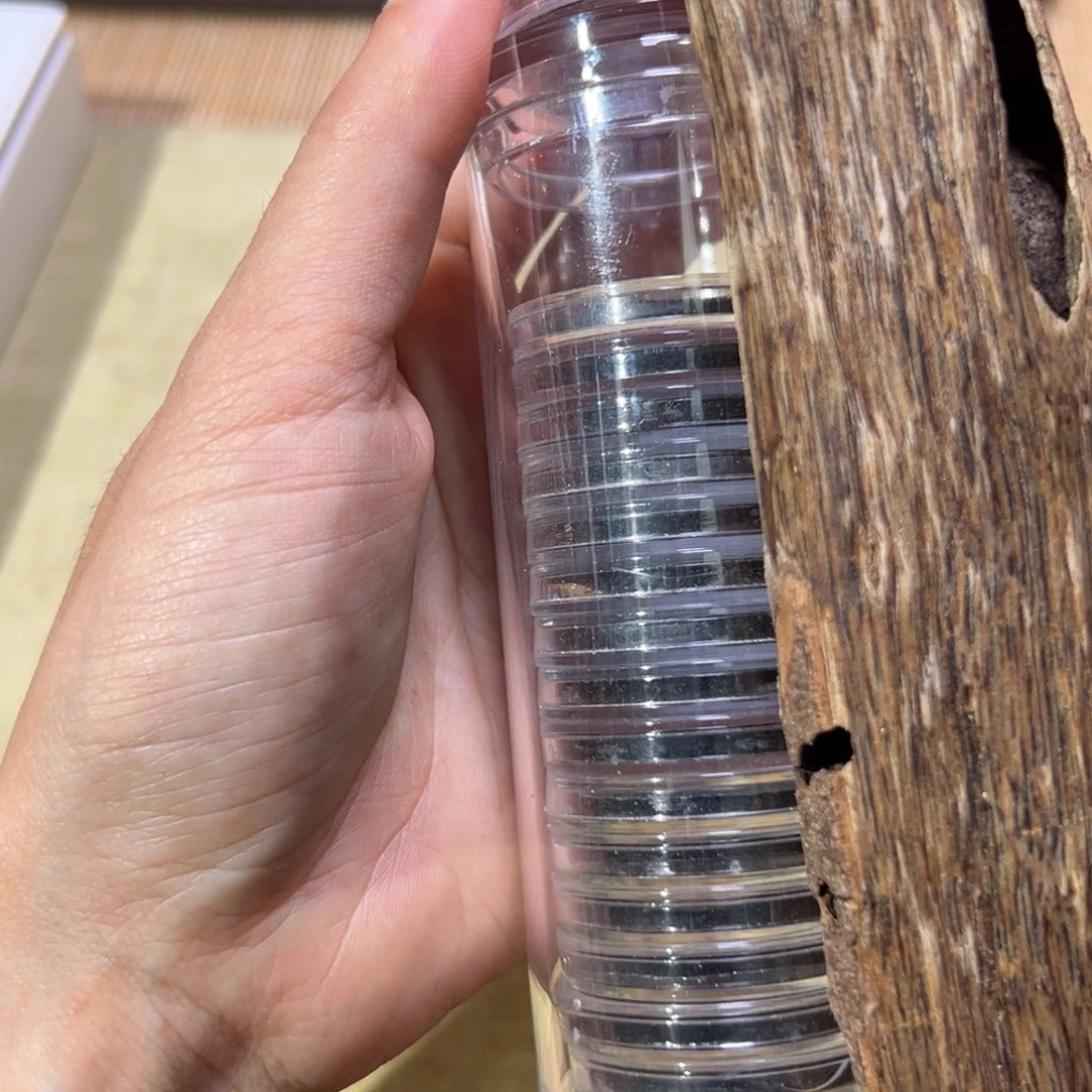 【闪购商品】香榧木海南木料老铁头小祥云1管（18片）