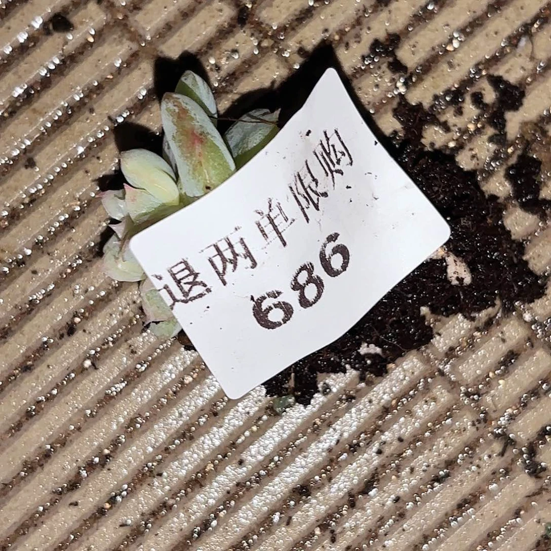 咸****羽686点热度热度热度热度人的人