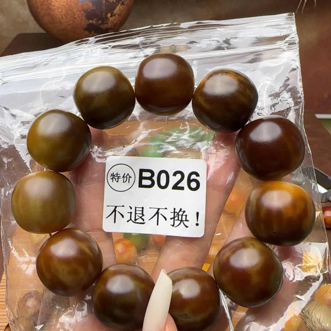 菩提根/象牙果手串B026大暇不退不换介意勿拍