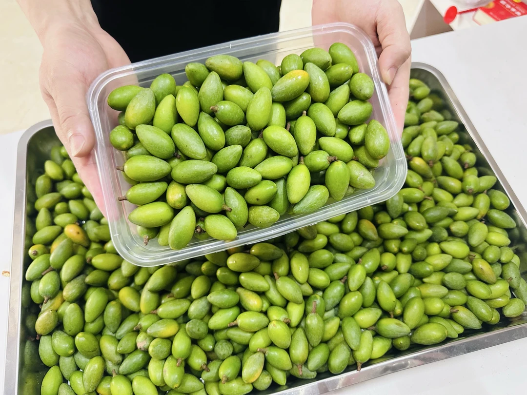 闽清2号脆橄榄新鲜青橄榄现摘现发可生吃煲汤泡酒的孕妇水果