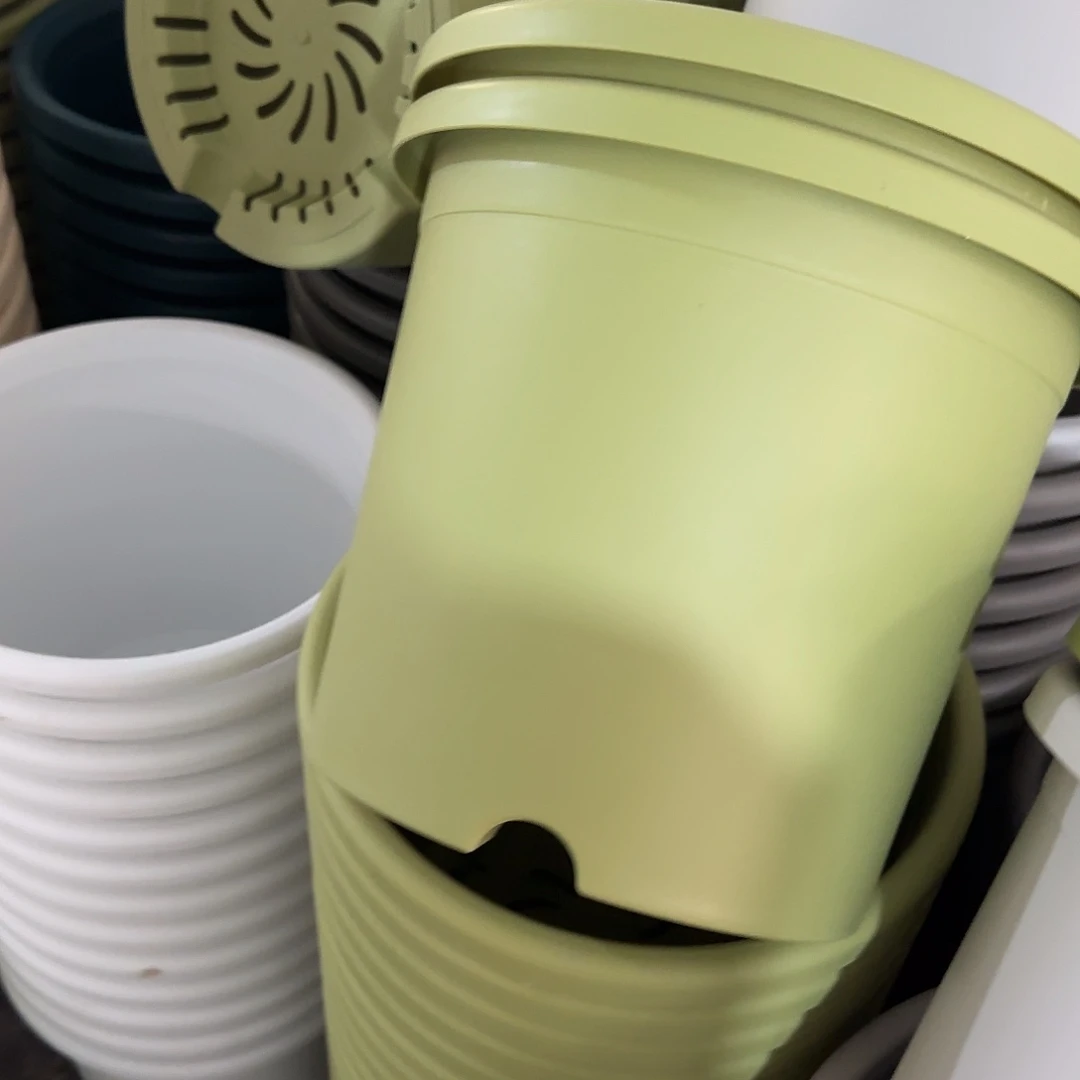 微瑕5号无托6个，果绿