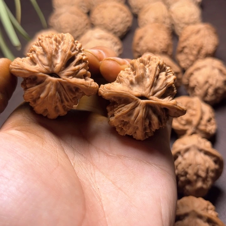 逍*虎头虎头虎头尖磕38