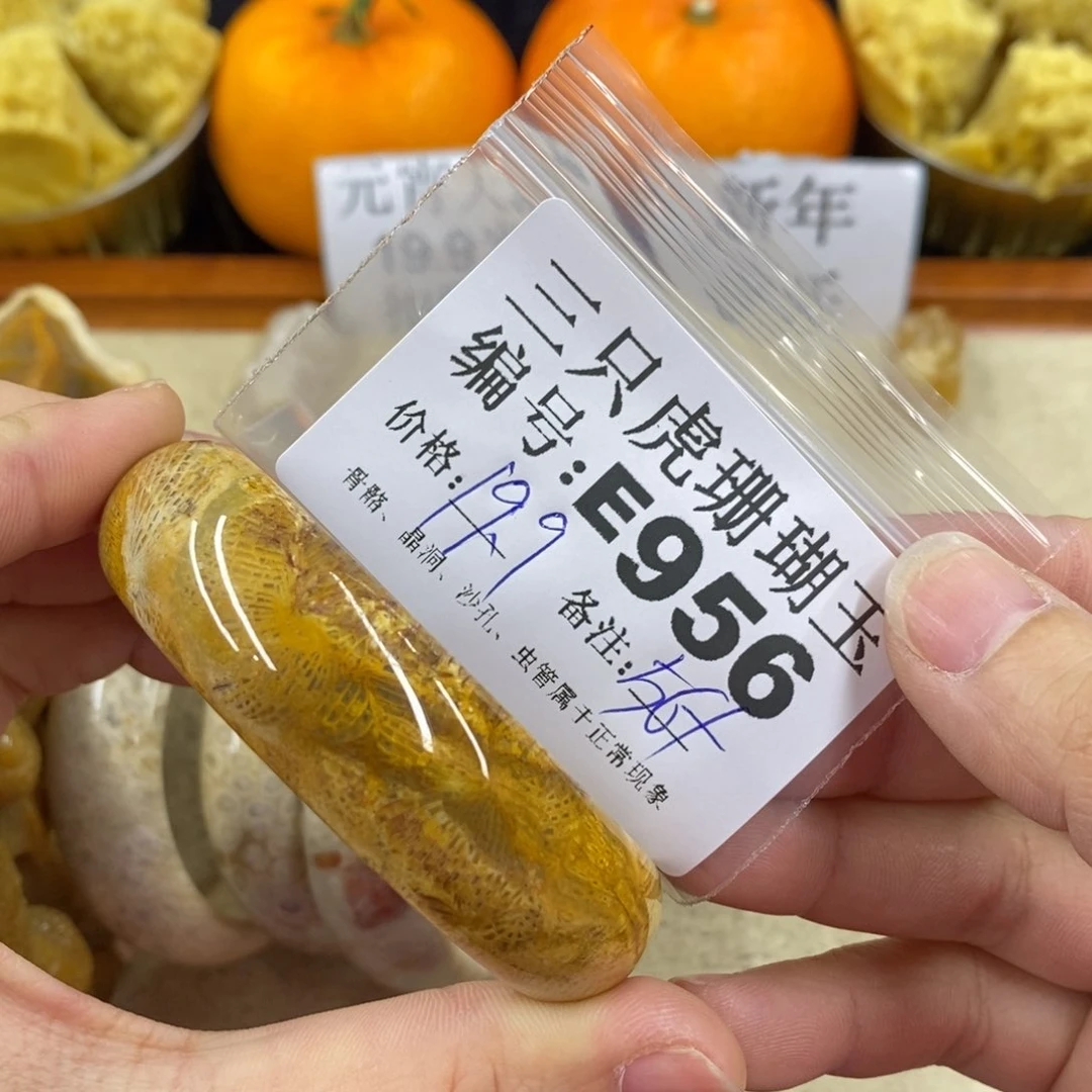 硅化珊瑚（珊瑚玉）1未镶嵌澄**Ꮤ