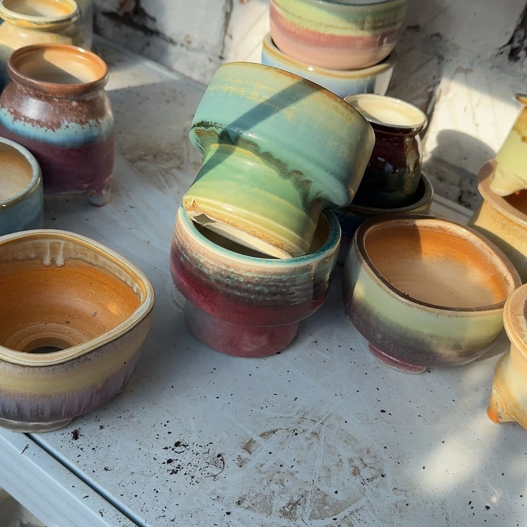 草***甜两个火锅花盆多肉