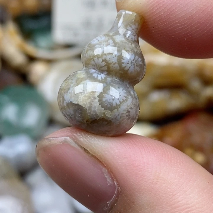 硅化珊瑚（珊瑚玉）未镶嵌颈饰小