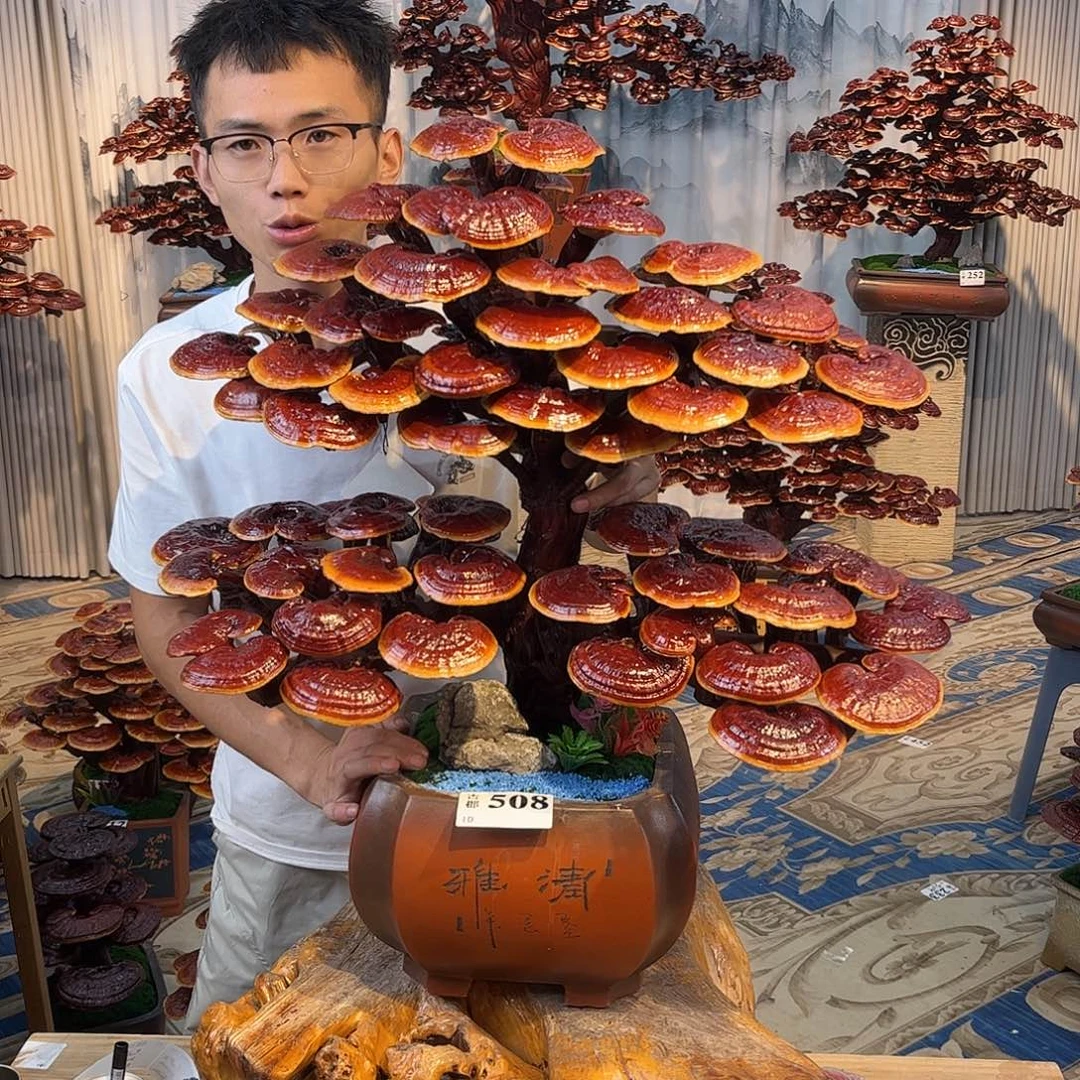 无花朵88888888888888