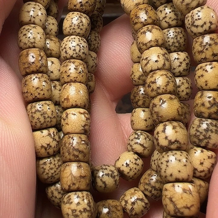 我们都是在这里看到的哈