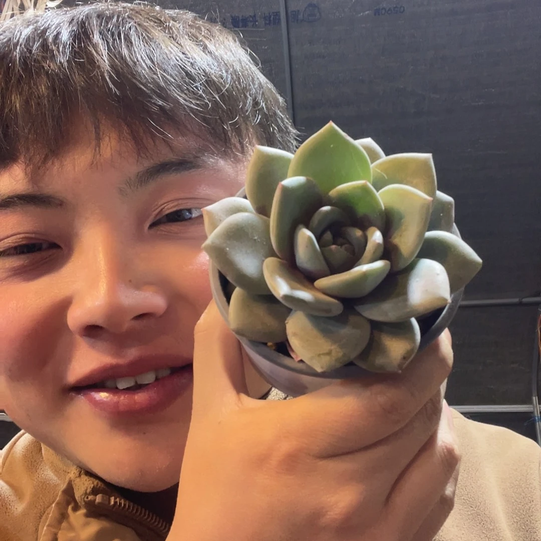 德国香槟满20包邮脱土发货