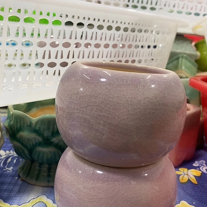 花盆抢购清货马上开始