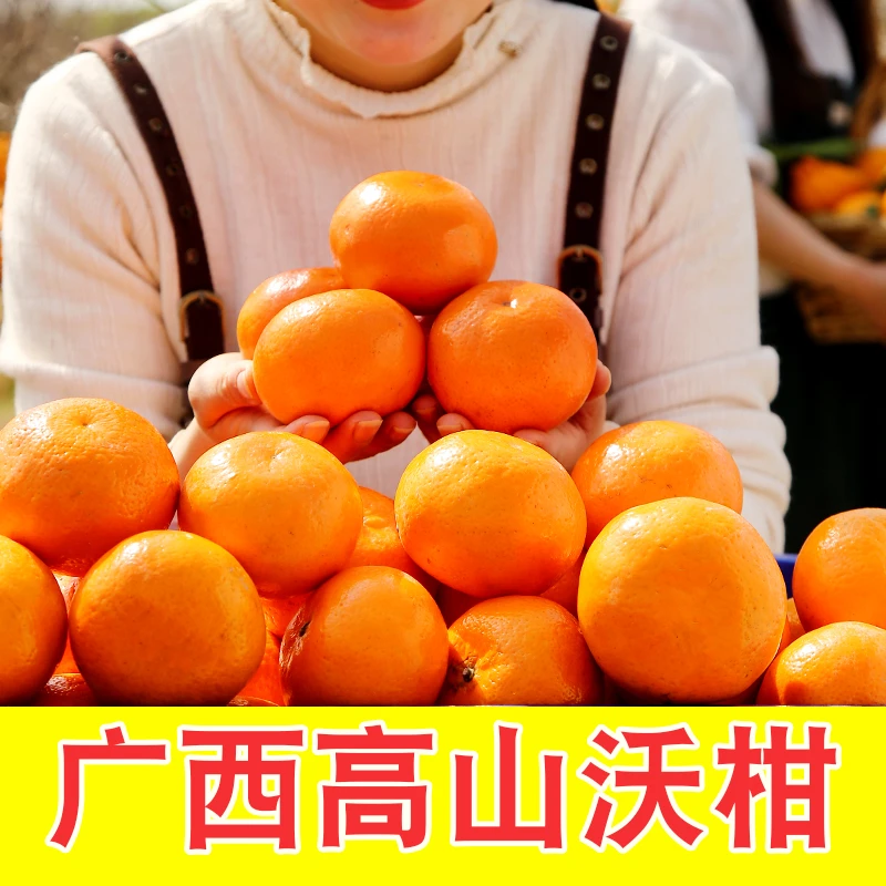 正宗广西武鸣高山沃柑新鲜采摘当季柑橘香甜手剥桔子皮薄多汁