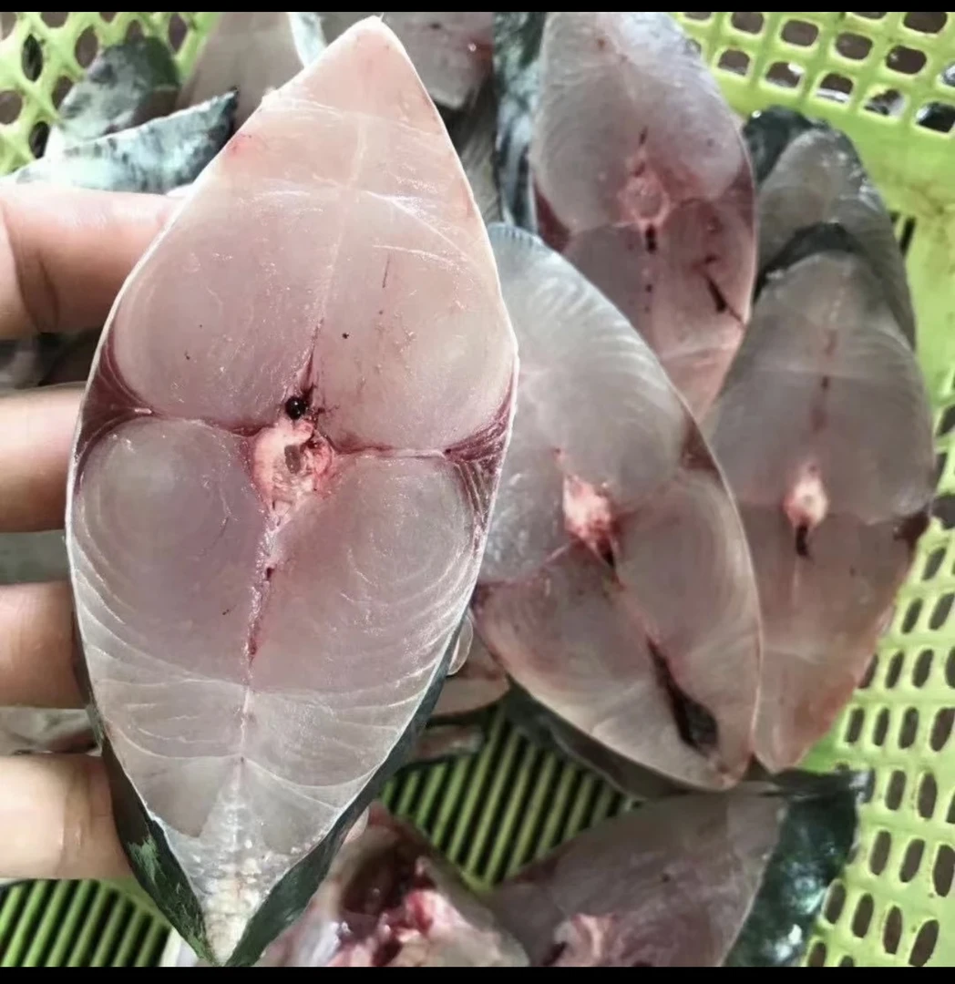 神泉港码头 马鲛鱼 切块一包8两 发5包