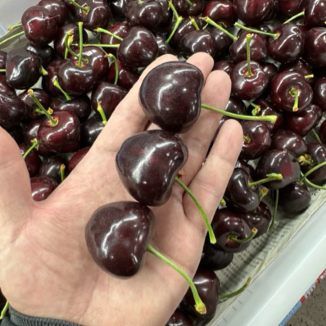 【顺丰空运】5J俄罗斯8号大樱桃2-5斤15克➕脆甜
