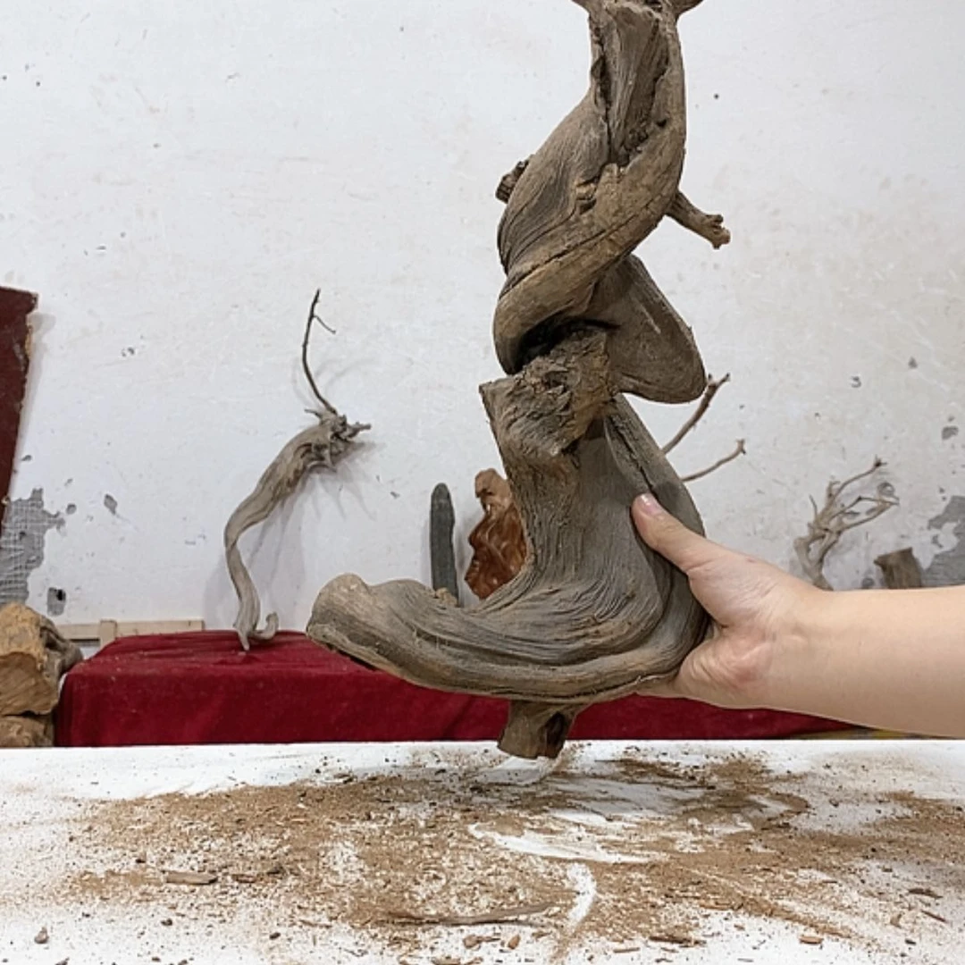 【闪购商品】柏木春****3我们都是好孩子