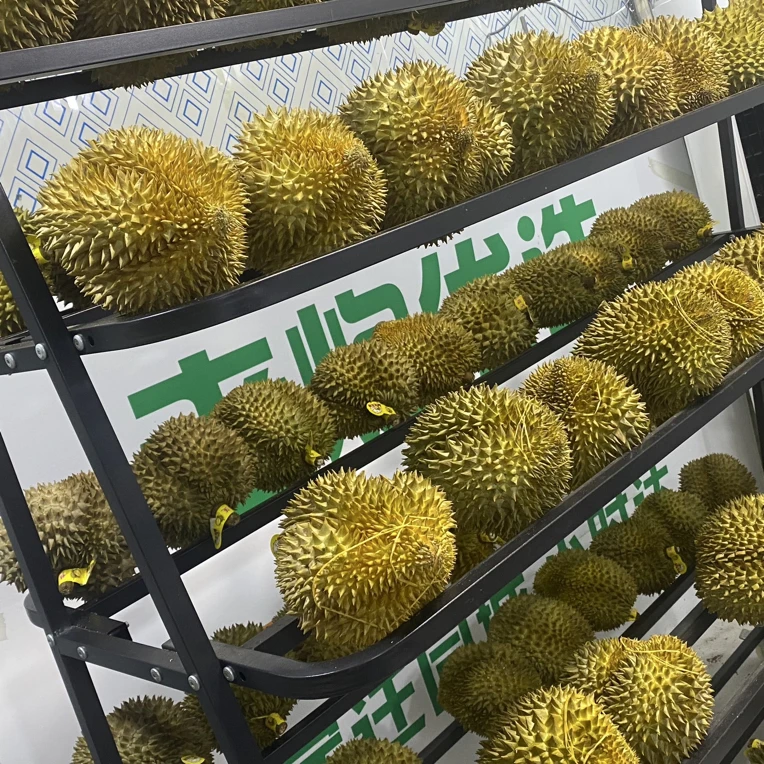 （达人号）【榴莲小时达】2号金枕鲜榴莲1个（3-8斤）一物一拍，泰国核小金枕泰国