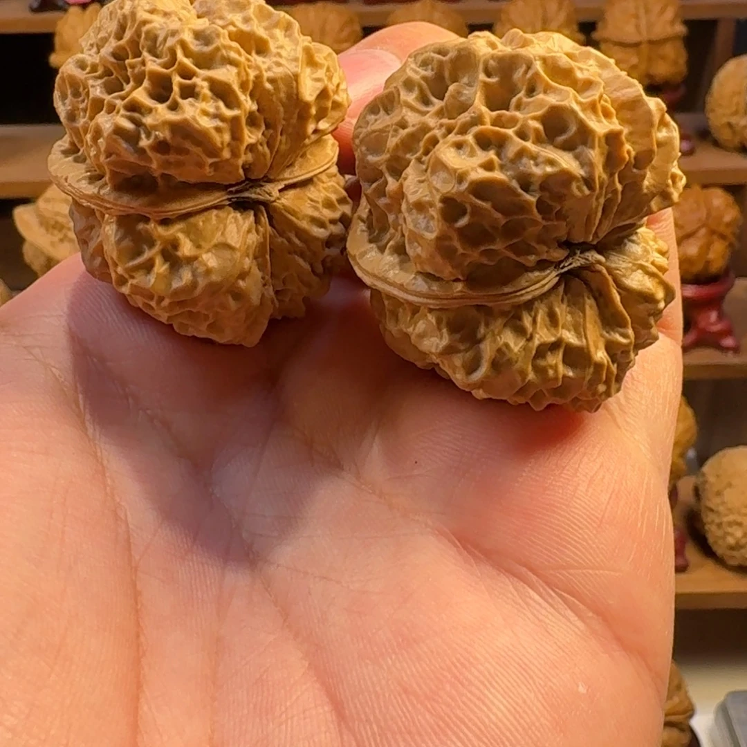铁核桃把件凹底龙纹古蟾43尺