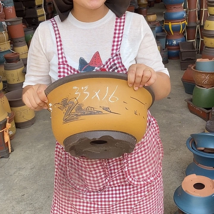 紫砂花盆盆栽植物花卉苗木种植