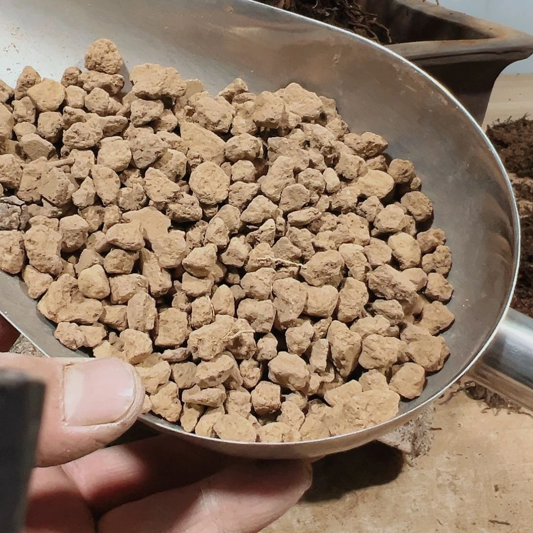 盆景赤玉土3本6到9