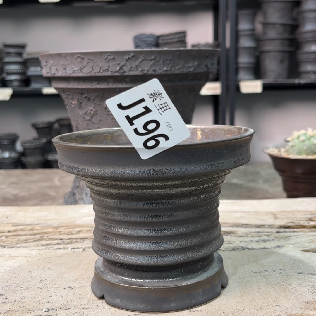 陶内口12.5高10.5景德镇