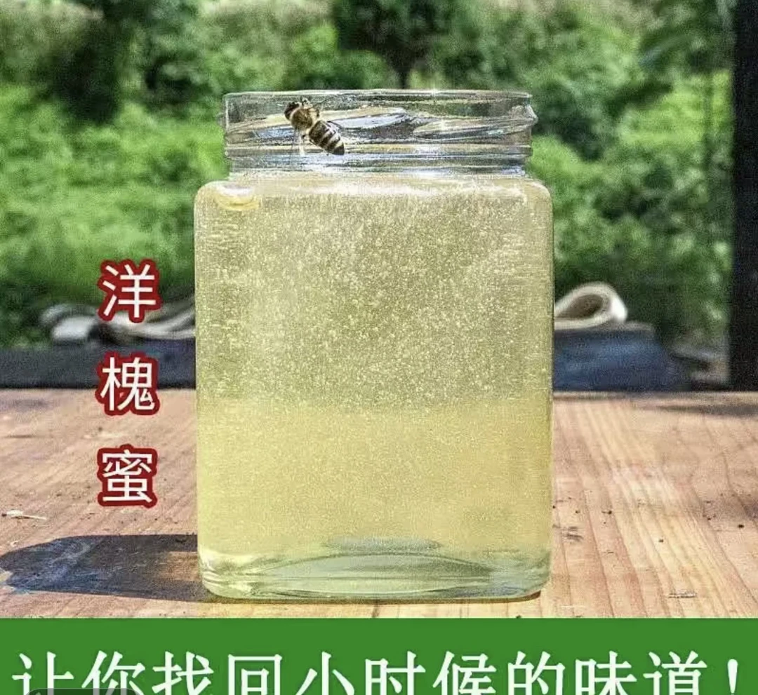 西北黄土高原头茬大山槐花（蜜)