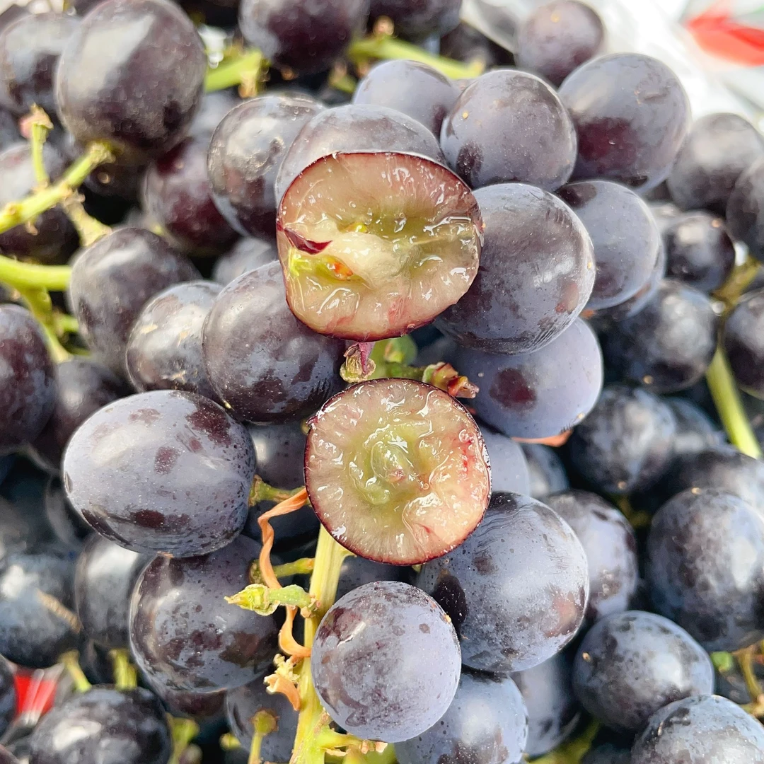 【嘎嘎脆甜】智利无籽玫瑰香2.5-5斤提子智利