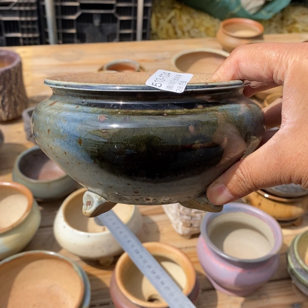 @*儿124号多肉盆一个呀