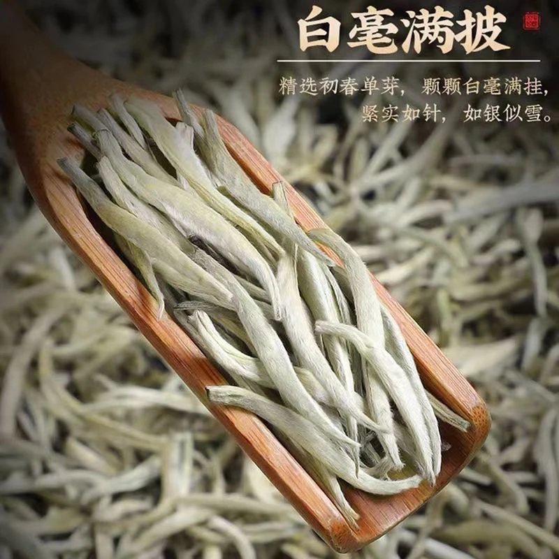 春茶之王白毫银针