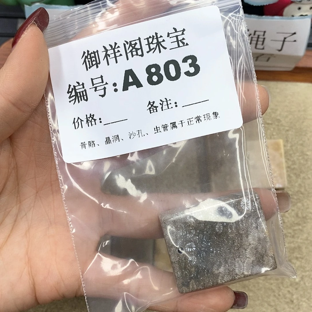 硅化珊瑚（珊瑚玉）A未镶嵌用****2