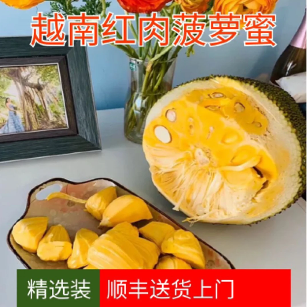 果切【去芯发货】14斤现剥双A特大果越南黄肉菠萝蜜10斤零食进口
