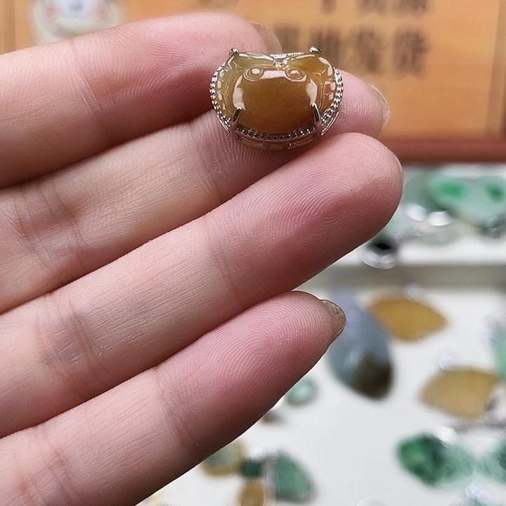 翡翠银S925镶嵌颈饰