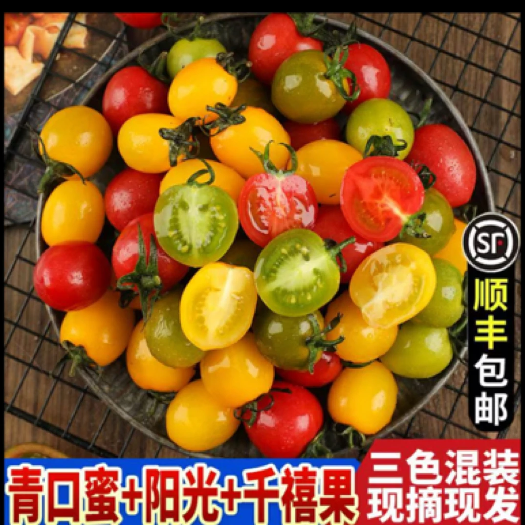 三色水果小番茄三斤装现摘现发新鲜江苏省