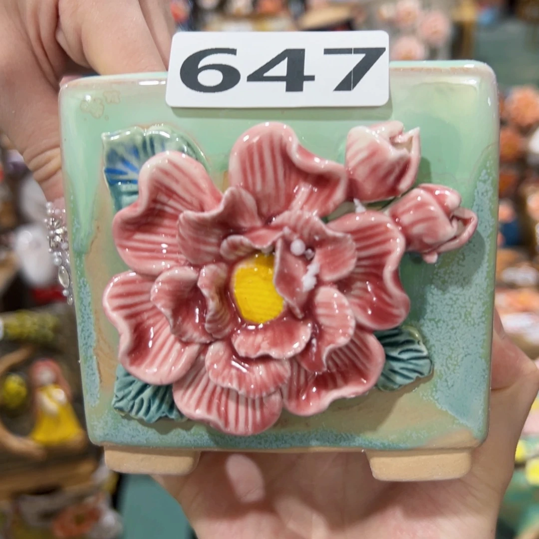 647 拍满18.8米包邮发货