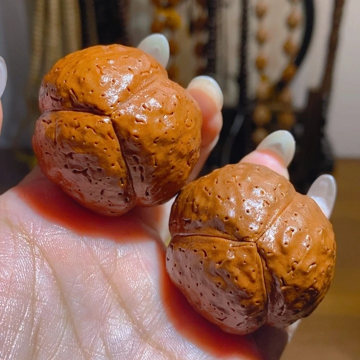 野生三瓣大金刚光头强3844