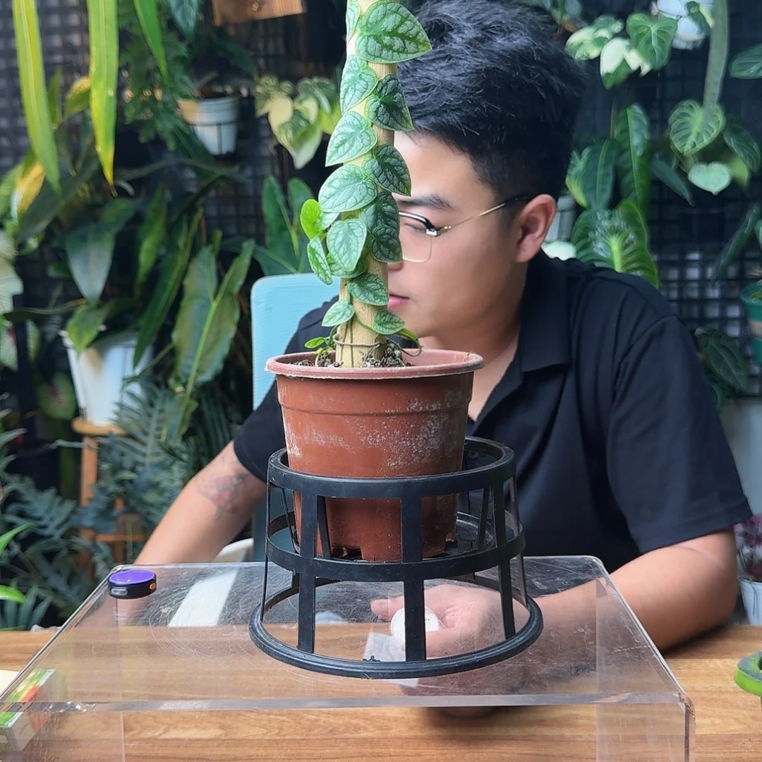 我***咸无花朵一物一拍G25