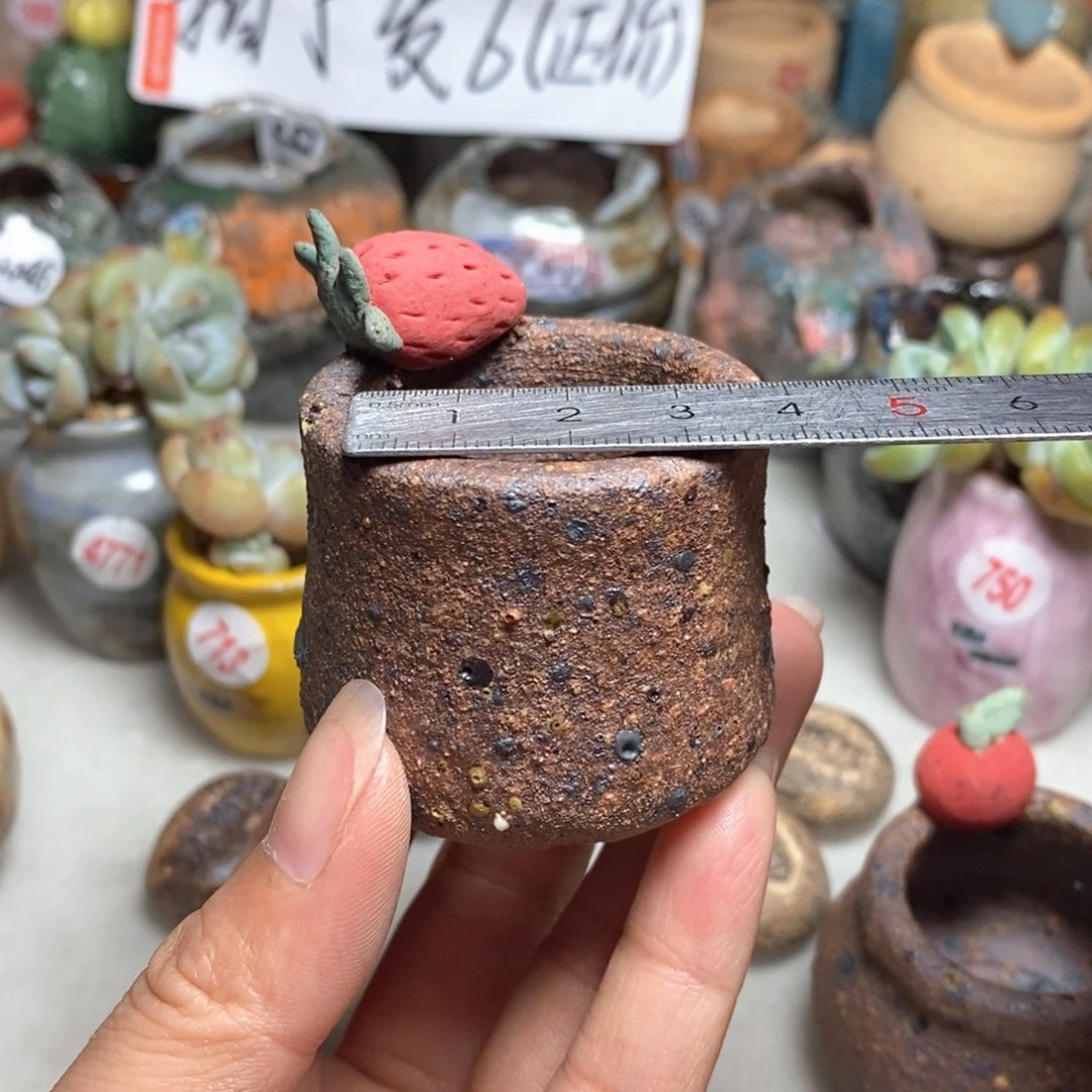 拍5送一个小礼物