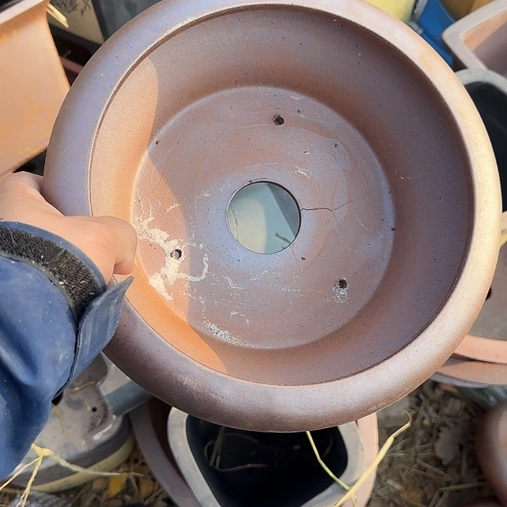 尐***哥一哈来不急不慌啊哈哈不晓得