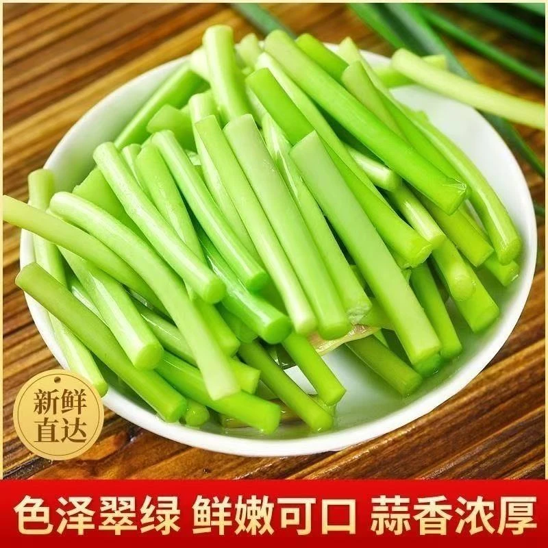 【新鲜红帽蒜苔】河南新鲜蒜苔时令素菜健康蔬菜