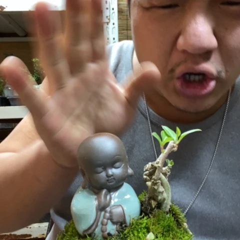 红陶陶*一物一拍所见即所得184