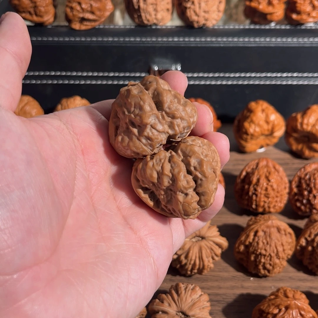 手串/手链核桃边41肚45四开背肌肉蛙