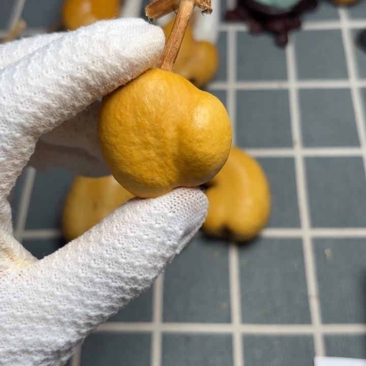 茕***）666666666666666666