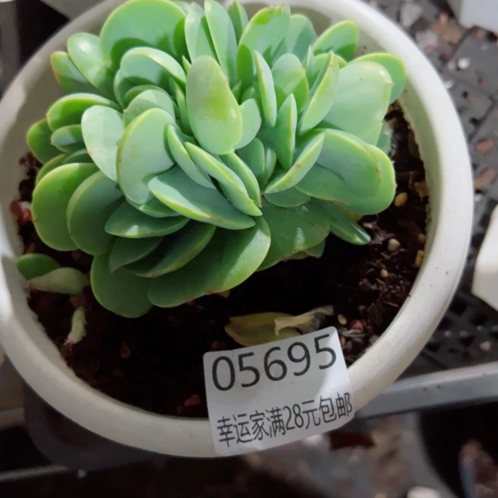 蓝***云幸运的是我还没遇到过这么