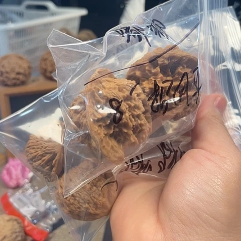文玩核桃把件嘟**c核桃