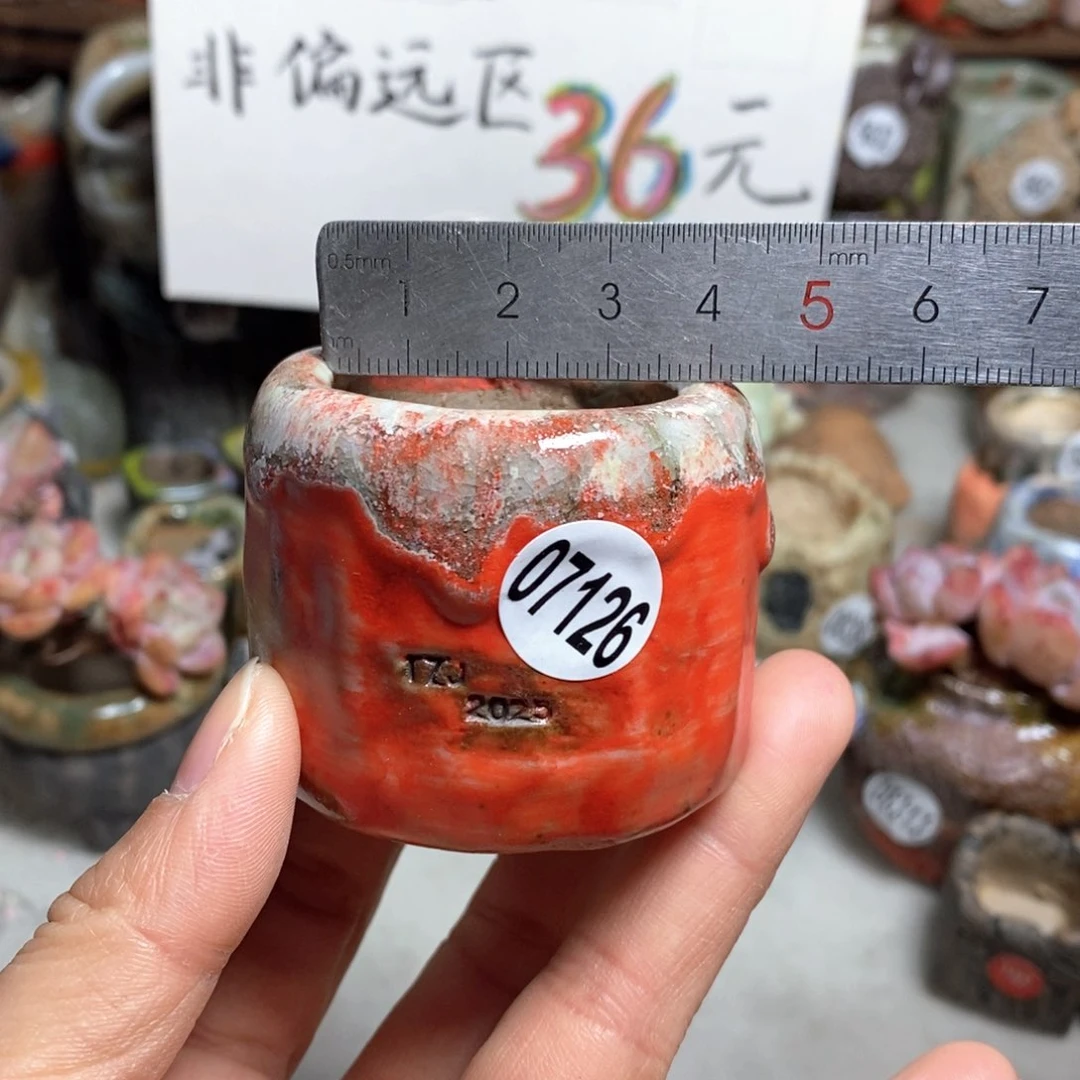 花盆拍3送一个小礼物